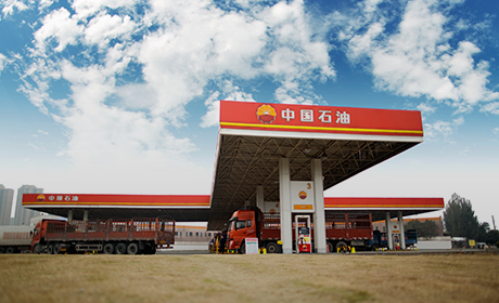 Stake(�й���)�ٷ���վ